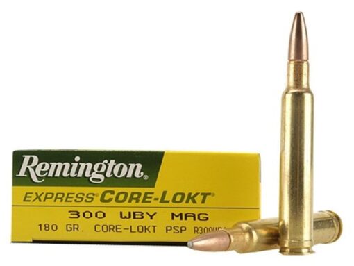 300 Weatherby Magnum Ammo